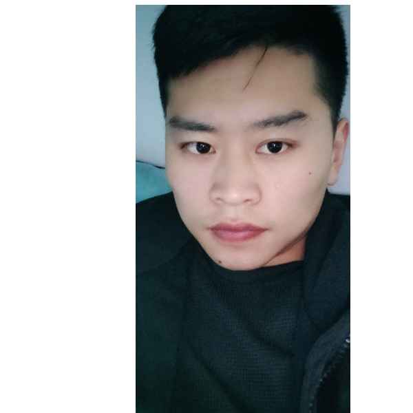 河南27岁单身帅哥真诚找对象-伊春征婚相亲网