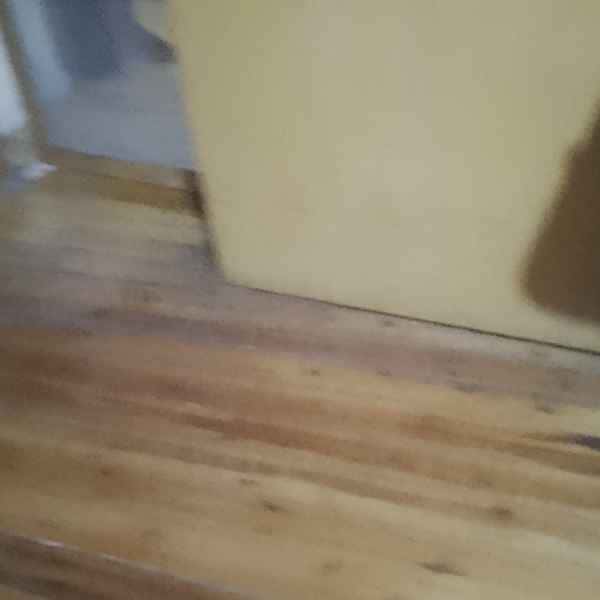 浙江34岁单身帅哥真诚找对象-伊春征婚相亲网