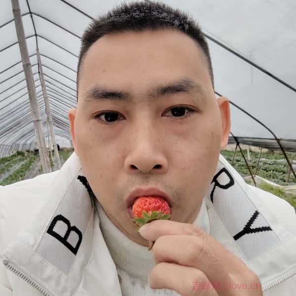 伊春征婚相亲网